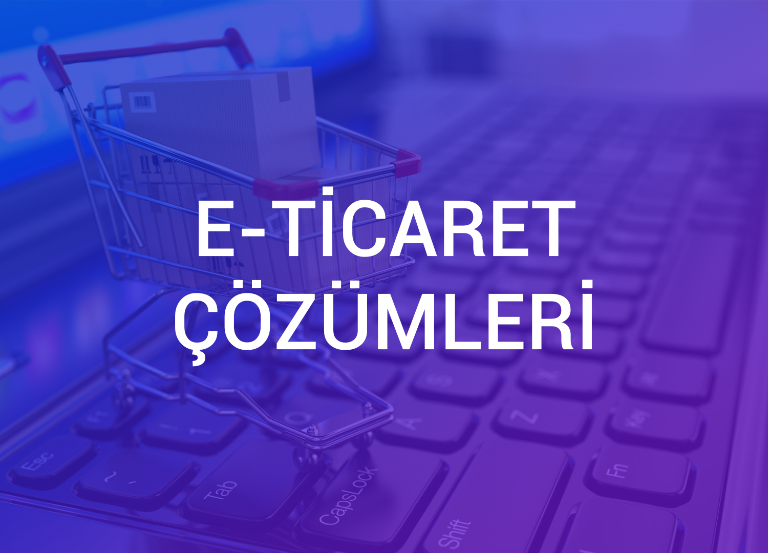 E-Ticaret Çözümleri