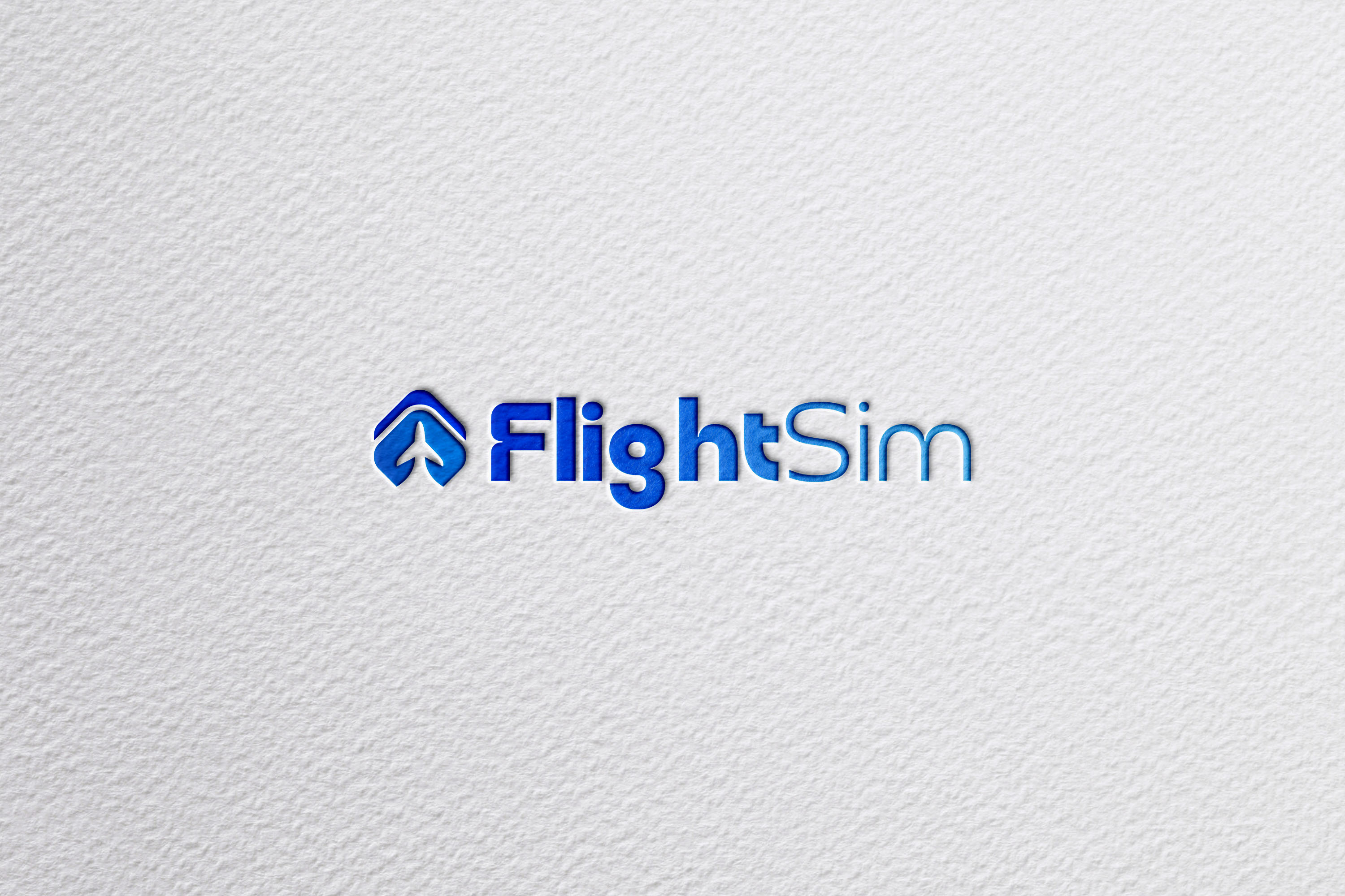 FlightSim Logo Çalışması