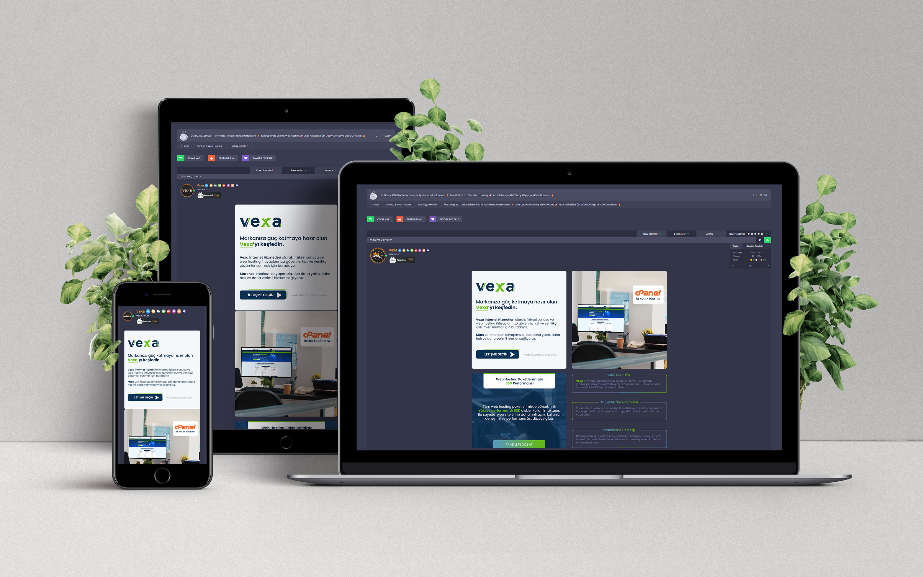 Vexa Konu Tasarımı